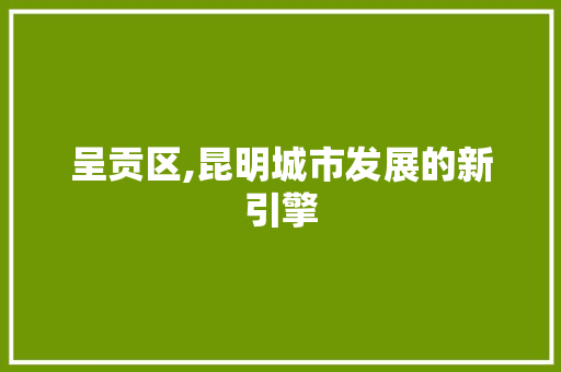 呈贡区,昆明城市发展的新引擎 呈贡区,昆明城市发展的新引擎