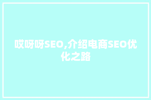 哎呀呀SEO,介绍电商SEO优化之路