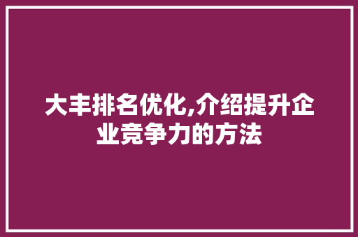 大丰排名优化,介绍提升企业竞争力的方法
