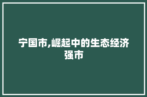 宁国市,崛起中的生态经济强市