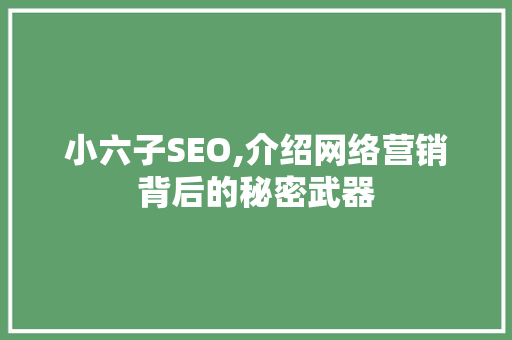小六子SEO,介绍网络营销背后的秘密武器 小六子SEO,介绍网络营销背后的秘密武器