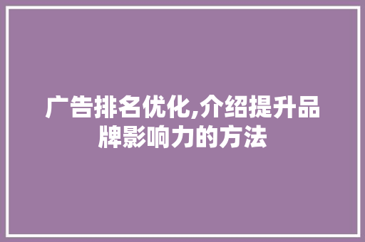 广告排名优化,介绍提升品牌影响力的方法