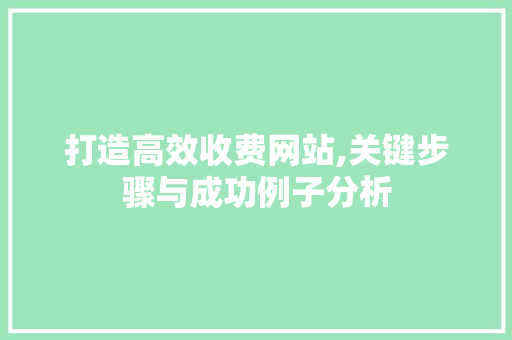 打造高效收费网站,关键步骤与成功例子分析