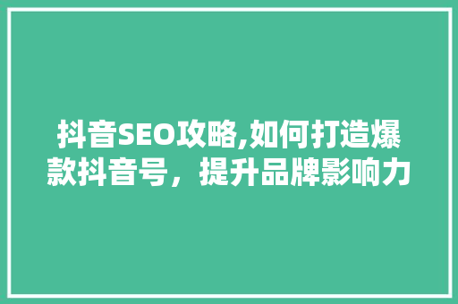 抖音SEO攻略,如何打造爆款抖音号，提升品牌影响力