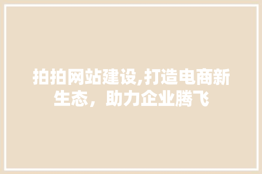 拍拍网站建设,打造电商新生态，助力企业腾飞