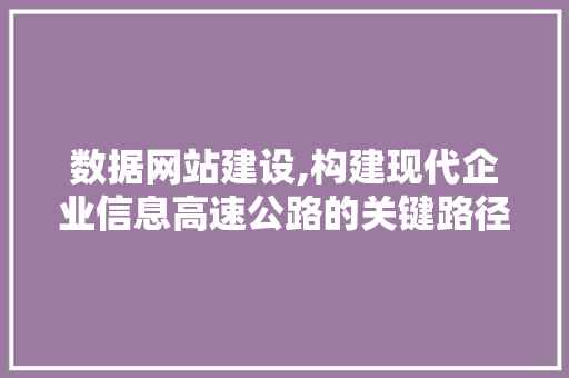 数据网站建设,构建现代企业信息高速公路的关键路径