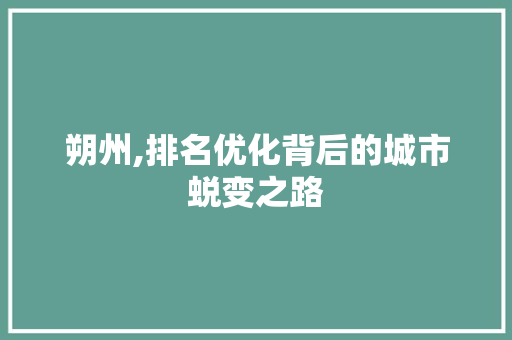 朔州,排名优化背后的城市蜕变之路