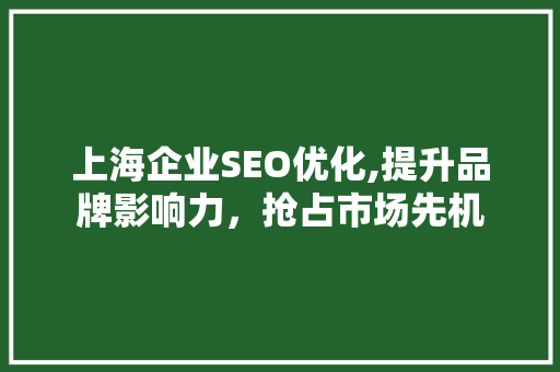上海企业SEO优化,提升品牌影响力，抢占市场先机