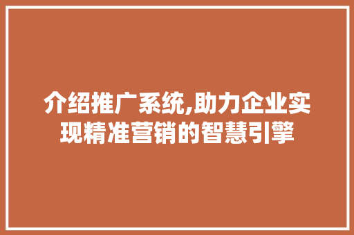 介绍推广系统,助力企业实现精准营销的智慧引擎