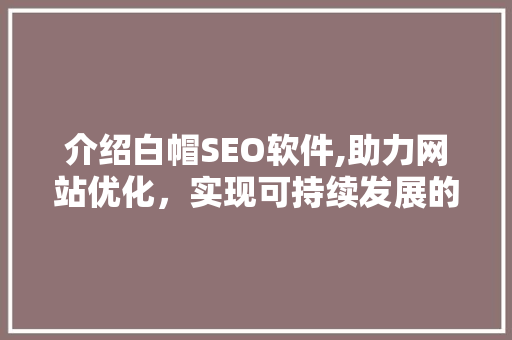 介绍白帽SEO软件,助力网站优化，实现可持续发展的关键利器