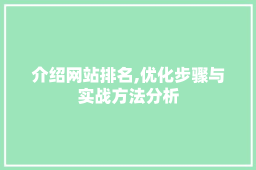介绍网站排名,优化步骤与实战方法分析