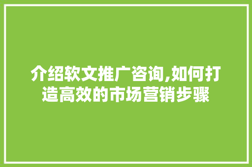 介绍软文推广咨询,如何打造高效的市场营销步骤