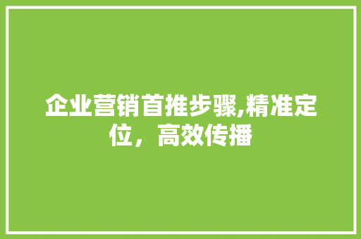 企业营销首推步骤,精准定位，高效传播