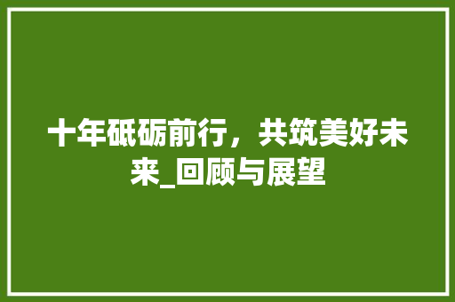 十年砥砺前行，共筑美好未来_回顾与展望