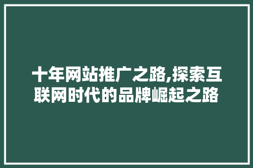 十年网站推广之路,探索互联网时代的品牌崛起之路 十年网站推广之路,探索互联网时代的品牌崛起之路