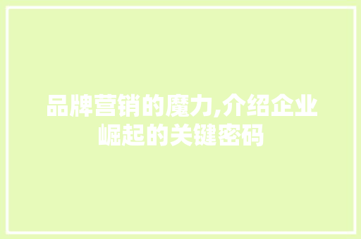品牌营销的魔力,介绍企业崛起的关键密码