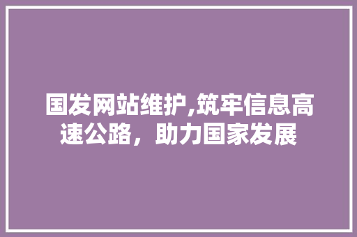 国发网站维护,筑牢信息高速公路，助力国家发展