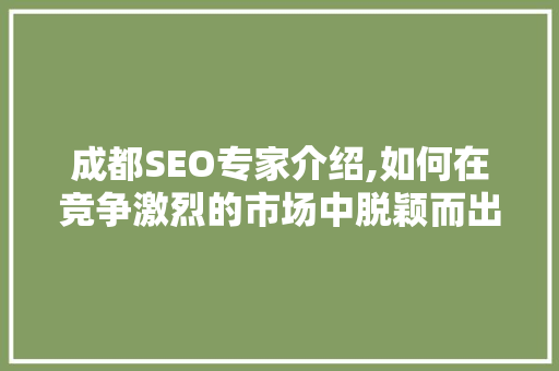 成都SEO专家介绍,如何在竞争激烈的市场中脱颖而出