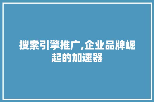 搜索引擎推广,企业品牌崛起的加速器
