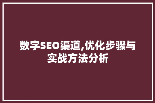 数字SEO渠道,优化步骤与实战方法分析