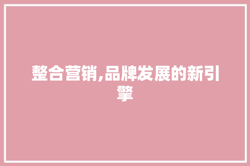 整合营销,品牌发展的新引擎