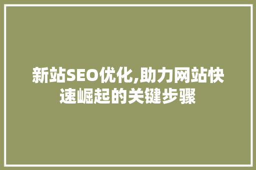 新站SEO优化,助力网站快速崛起的关键步骤