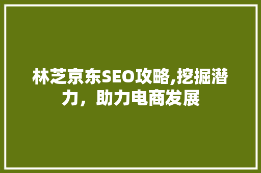 林芝京东SEO攻略,挖掘潜力，助力电商发展