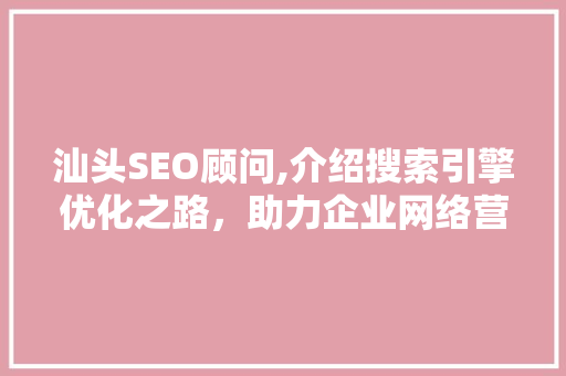 汕头SEO顾问,介绍搜索引擎优化之路，助力企业网络营销腾飞