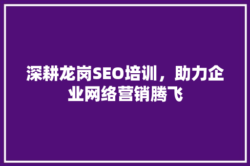 深耕龙岗SEO培训，助力企业网络营销腾飞