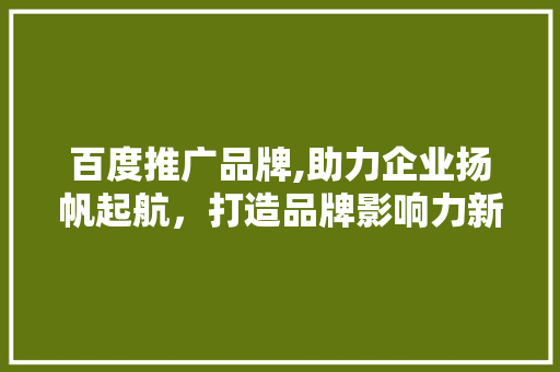 百度推广品牌,助力企业扬帆起航，打造品牌影响力新篇章