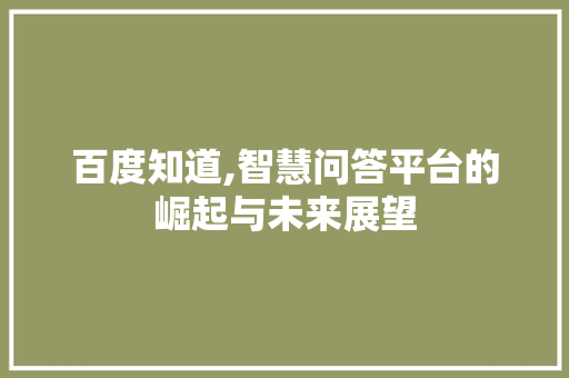 百度知道,智慧问答平台的崛起与未来展望