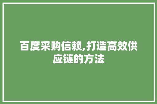 百度采购信赖,打造高效供应链的方法