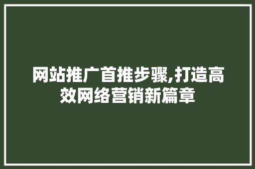 网站推广首推步骤,打造高效网络营销新篇章