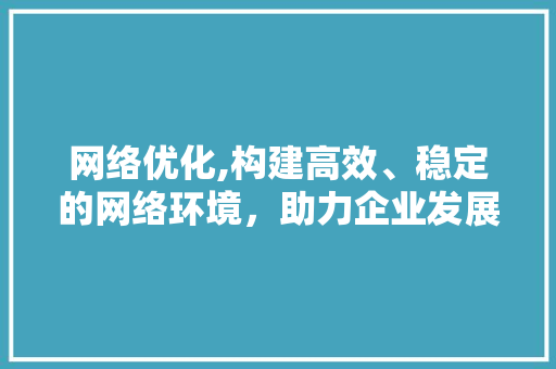 网络优化,构建高效、稳定的网络环境，助力企业发展