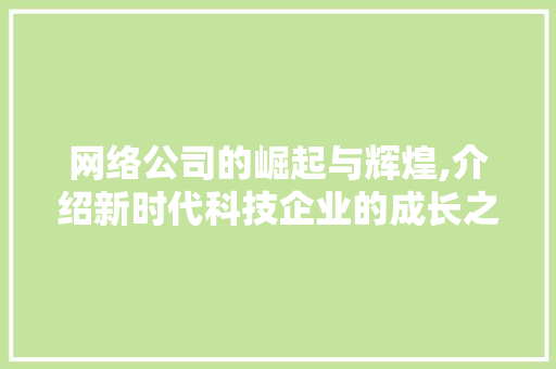网络公司的崛起与辉煌,介绍新时代科技企业的成长之路