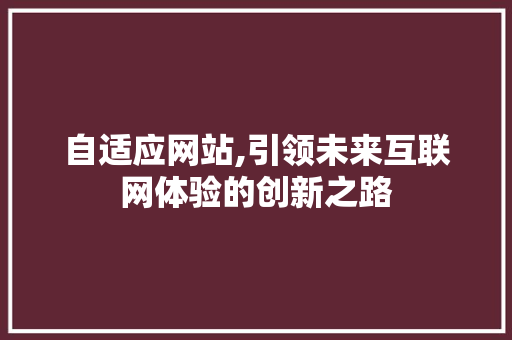 自适应网站,引领未来互联网体验的创新之路