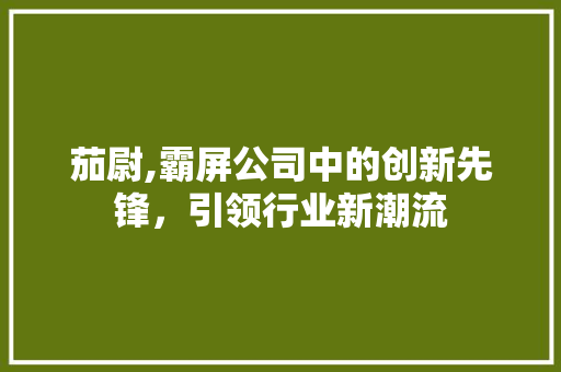 茄尉,霸屏公司中的创新先锋，引领行业新潮流