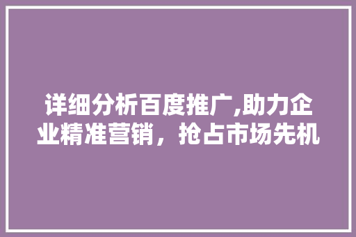 详细分析百度推广,助力企业精准营销，抢占市场先机