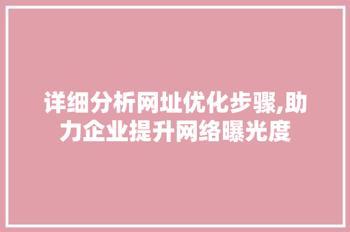 详细分析网址优化步骤,助力企业提升网络曝光度