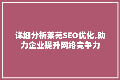 详细分析莱芜SEO优化,助力企业提升网络竞争力