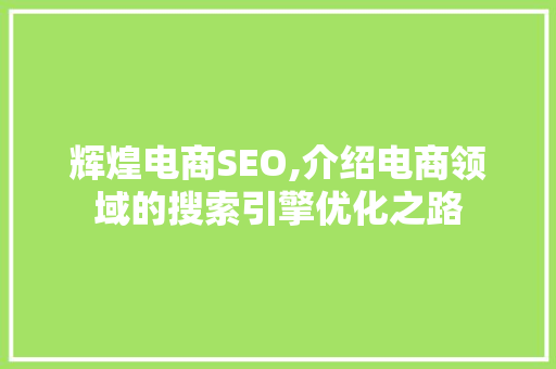 辉煌电商SEO,介绍电商领域的搜索引擎优化之路