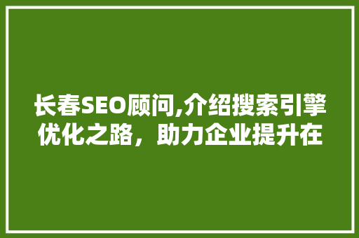 长春SEO顾问,介绍搜索引擎优化之路，助力企业提升在线竞争力