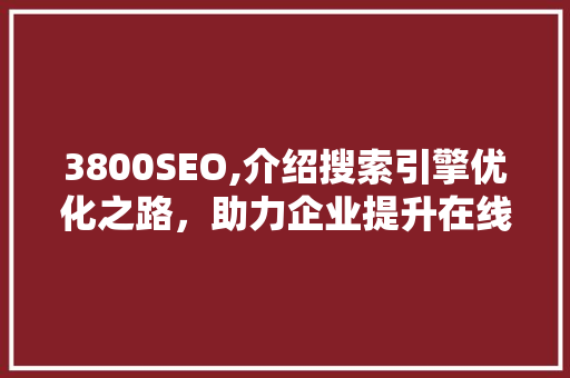 3800SEO,介绍搜索引擎优化之路，助力企业提升在线竞争力