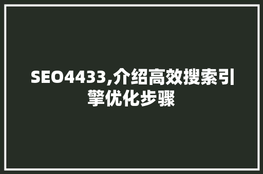SEO4433,介绍高效搜索引擎优化步骤