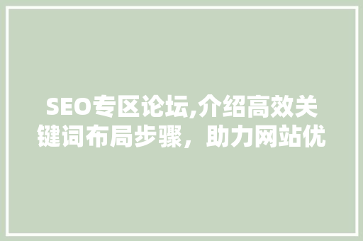SEO专区论坛,介绍高效关键词布局步骤，助力网站优化