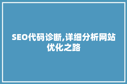 SEO代码诊断,详细分析网站优化之路