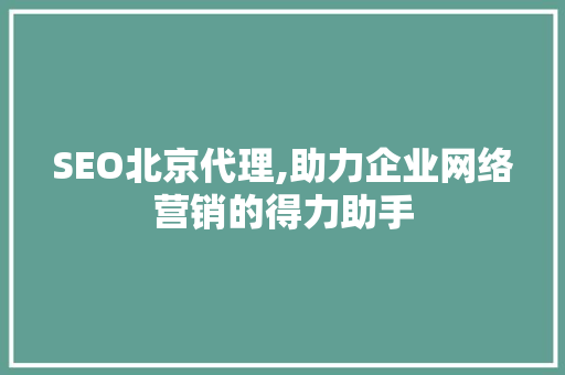 SEO北京代理,助力企业网络营销的得力助手