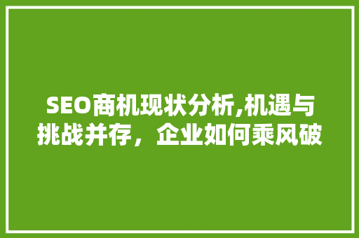 SEO商机现状分析,机遇与挑战并存，企业如何乘风破浪