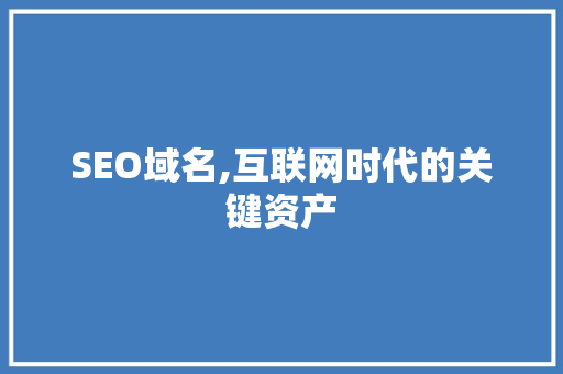 SEO域名,互联网时代的关键资产 SEO域名,互联网时代的关键资产