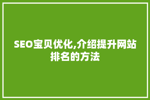 SEO宝贝优化,介绍提升网站排名的方法 SEO宝贝优化,介绍提升网站排名的方法